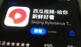 西瓜视频最新爆料,揭秘最新热门事件内幕